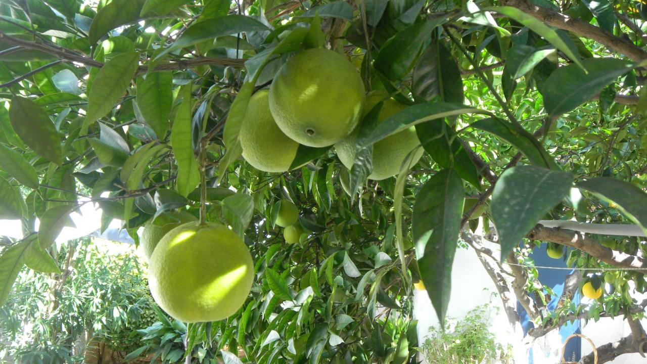 Cosy Guesthouse-Souterrain With Garden In City Center Corinth ภายนอก รูปภาพ